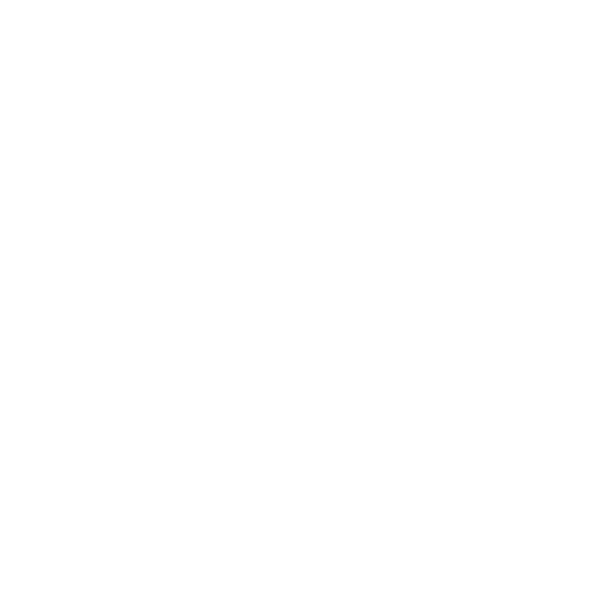 light logo